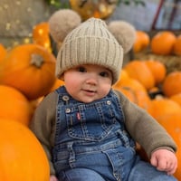 Image 2 of Beige Baby Bear Pomskii