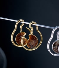 Image 5 of Ear Hangers - Ammonite Shell - Natural - Stainless Steel 316L - 4mm - Silver Gold - Gauges 
