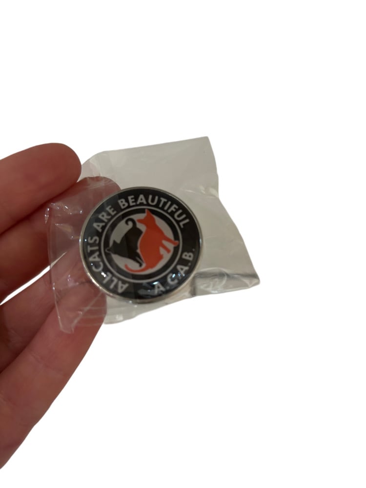 Image of ACAB pin 
