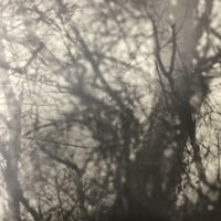 Grouper - Way Their Crept