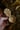 Oak leaf Coffee Scoop—