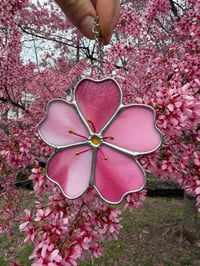 Image 3 of Cherry Blossom (Large)
