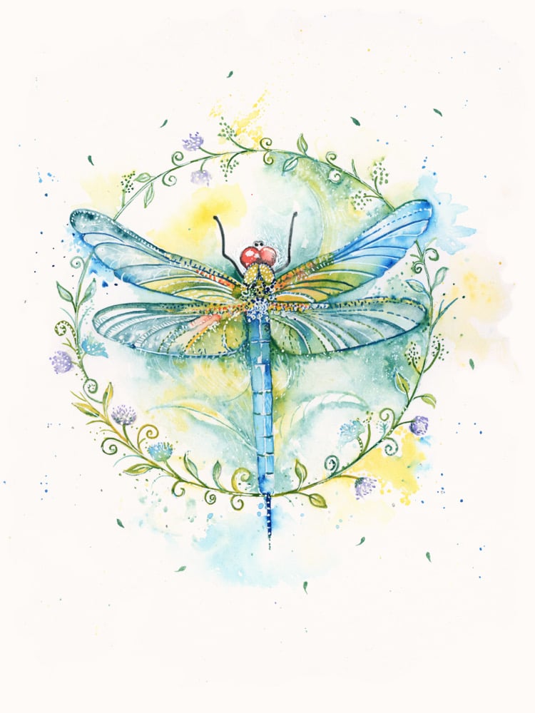 Image of Dreamy the Dragonfly