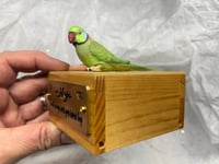 Image 2 of Handmade Custom Engraved Indian Ring Neck Parrot Urn Handpainted Pet Portrait