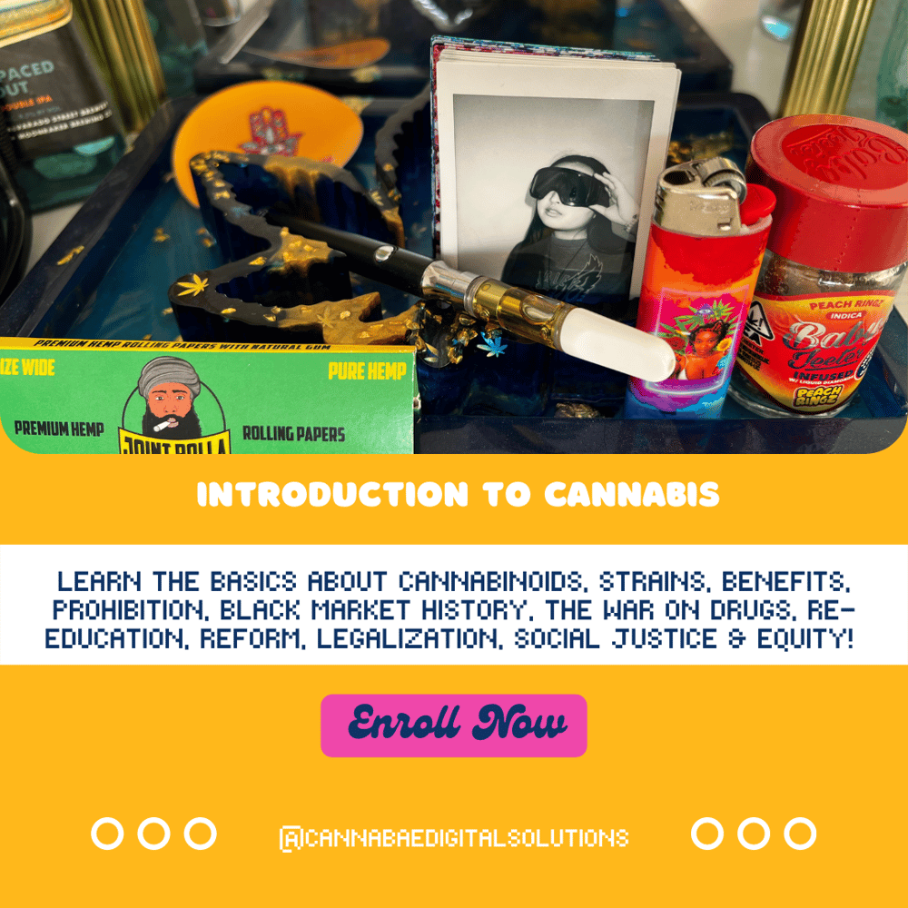 Image of Introduction to Cannabis - CBD.SA.101