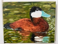 Image 5 of Ruddy Duck Oil Painting 8x10in