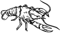 Image 1 of Crawfish Decal