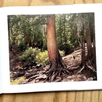 Image 7 of Mark Wyse - 18 Landscapes