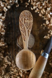 Image 2 of    The Oak Tree Special Coffee Scoop