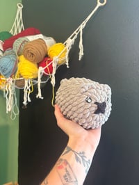 Image 12 of Deana DOND