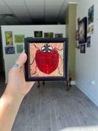 Image 1 of Framed Mini Art: Ladybug 2