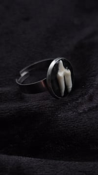 Image 2 of Fox tooth ring