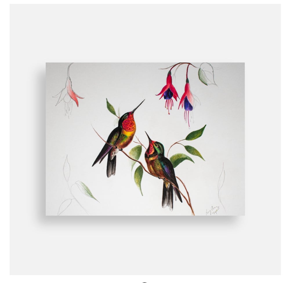 Image of Hummingbird small print