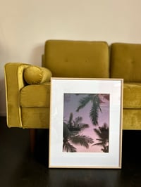 Image 3 of "Look Up", 11x14" fine art photography print