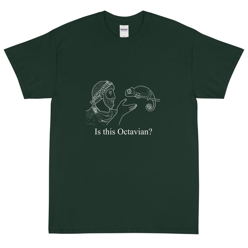 Image of Is This Octavian? Short Sleeve T-Shirt - White Details