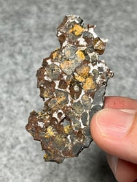 Image 5 of Rare Sericho Pallasite Meteorite Slice #2427