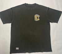 Image 1 of STEELERS FLIP