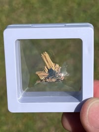 Image 13 of Golden Rutile & Hematite Star Specimen|Brazil #2932