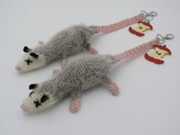 Image 7 of Opossum Charms 