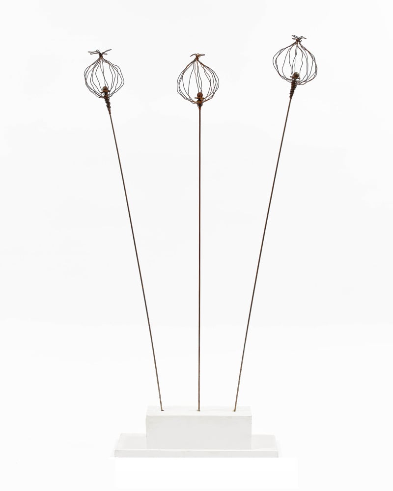 Single Seedhead plant stake 