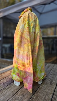 Image 3 of Cantaloupe