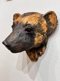 Image 1 of I'm Canadian- Julie Kradel