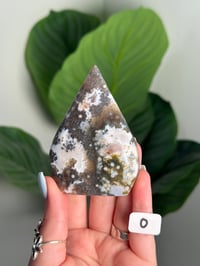 Image 15 of CHOOSE YOUR OWN SEA JASPER FLAME -MADAGASCAR-