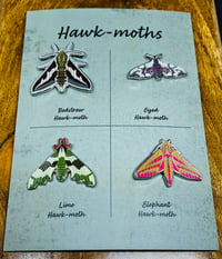 Hawk-moth Set 1-4 - Enamel Pin Badge