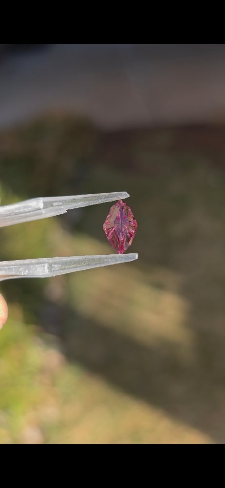 Image of Dragonfly Rose Garnet