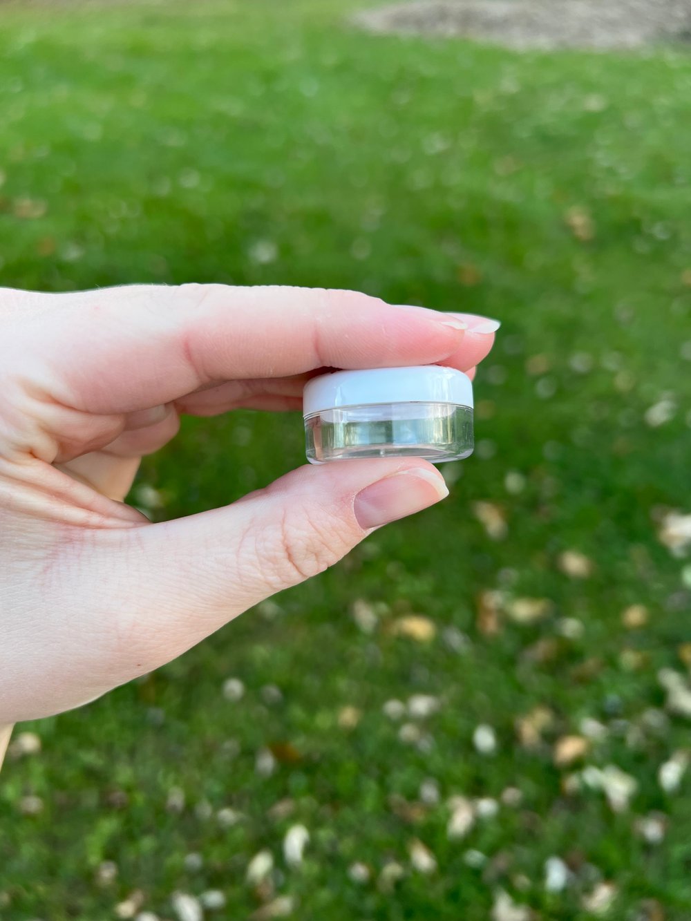 Image of Champagne BB Container