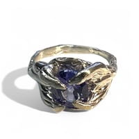 Image 1 of Violet Vortex