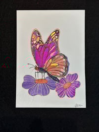 Image 1 of 🌸 “O Destino de Voar” 🦋