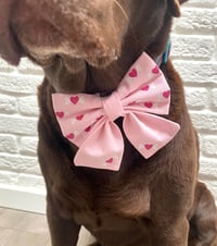 Image 5 of Love the Bones of You, Bow Ties / Sailor Bows