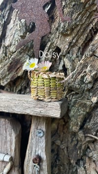 Image 1 of Fairy baskets