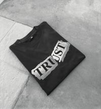 Image 2 of Trust