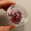 Rat Fetus Sculpture 