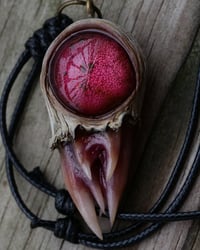Image 1 of Crimson Oracle Snaggletooth Pendant OOAK