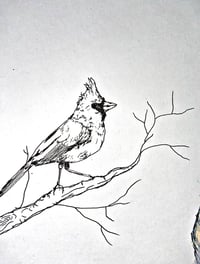 Image 2 of 14x17in. Drawing “Homunculus”