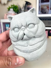 Image 2 of Persian/Exotic Cat Magnet