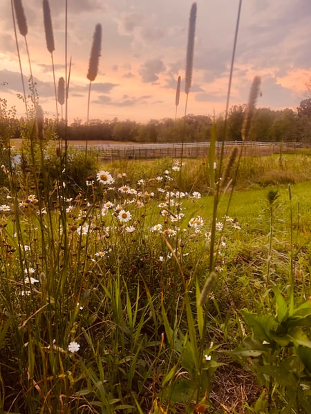 Image of Monthly Nature Journey