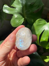Image 6 of Moonstone Palm Crystal (3)