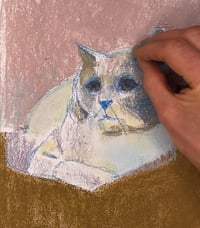 Image of CATS Double drawing workshop