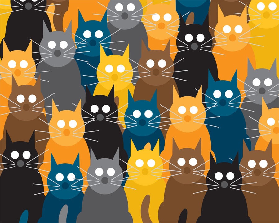 Mulit Cat Collection