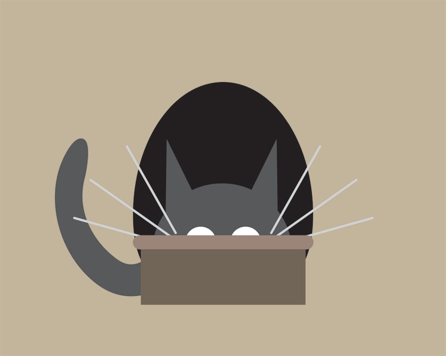Cat in Bowl Collection