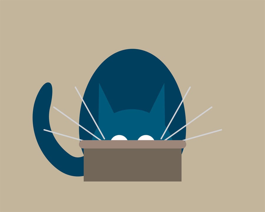 Cat in Bowl Collection