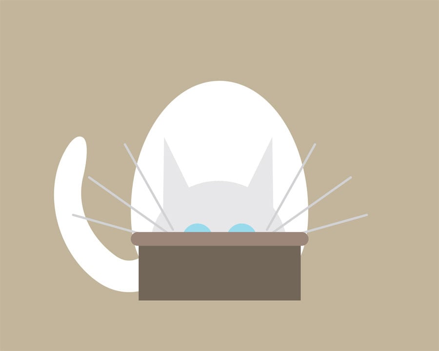 Cat in Bowl Collection