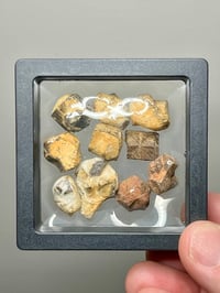 Image 1 of Staurolite Maltese Cross Crystals in Matrix | Mt Isa QLD Australia #2781