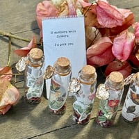 Image 13 of Mothers (Flowers) - Message in a Bottle
