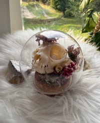 Image 4 of Rose Quartz Kitty