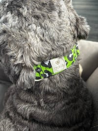 Image 1 of Leopard Print - Green